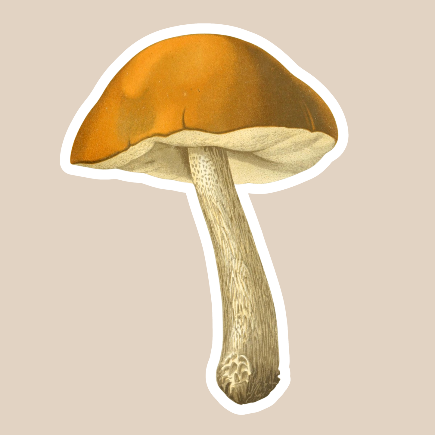 Mushroom Vinyl Sticker Style #9