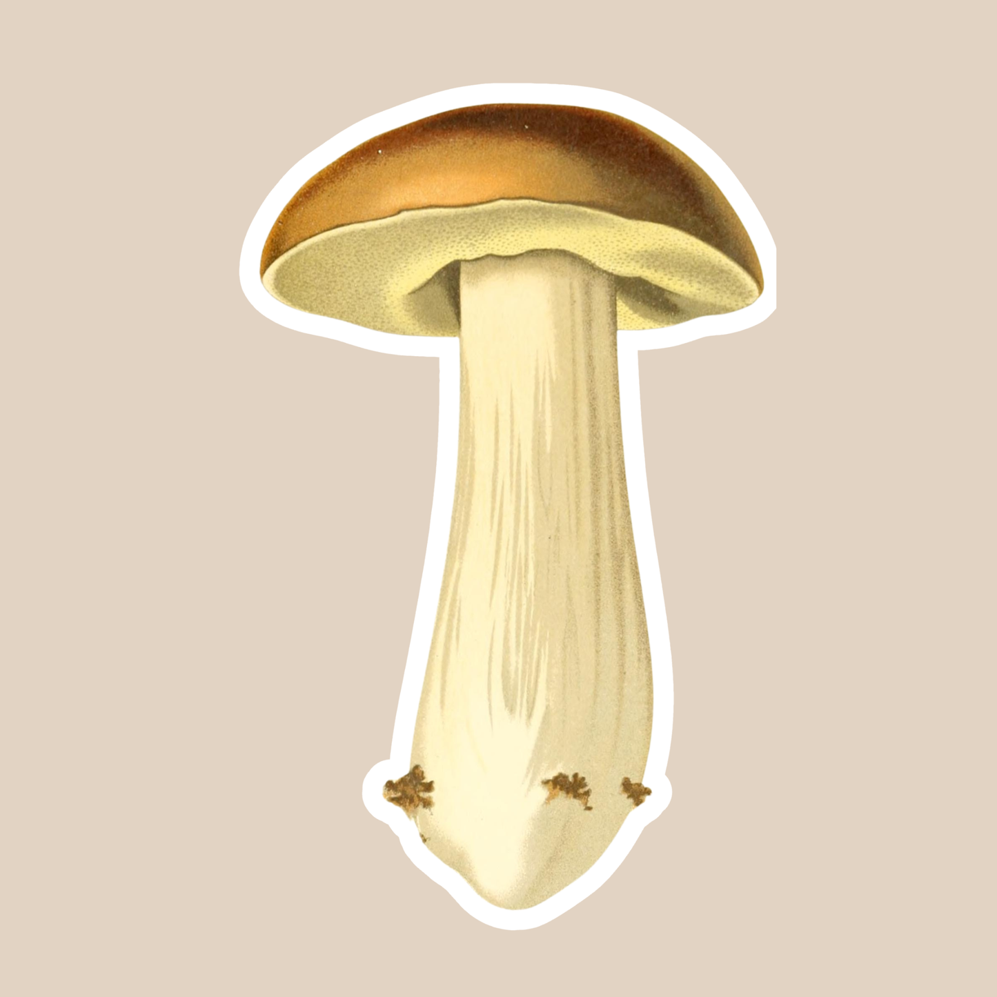 Mushroom Vinyl Sticker Style #13