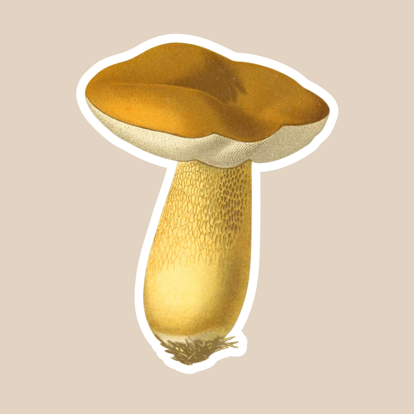 Mushroom Vinyl Sticker Style #12
