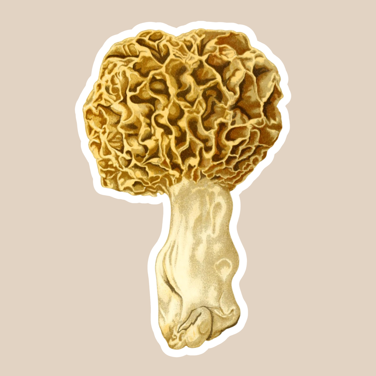 Mushroom Vinyl Sticker Style #1