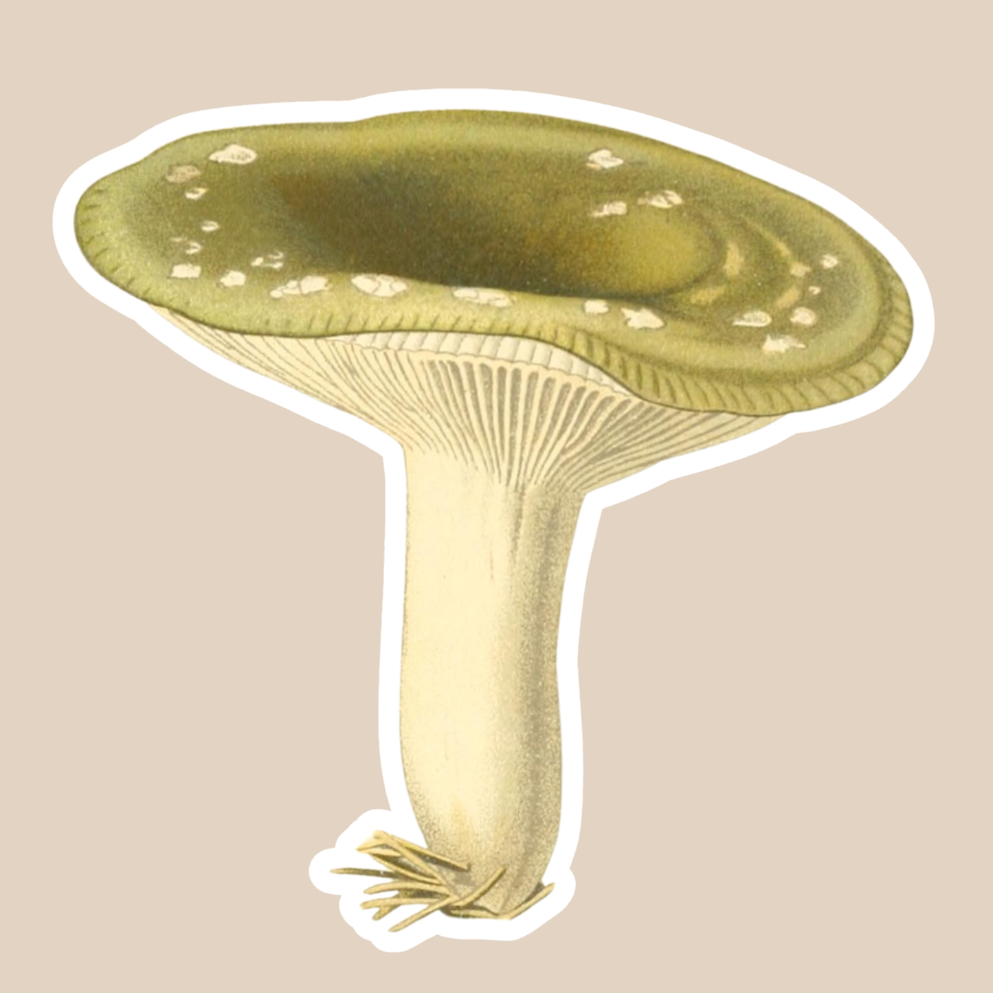 Mushroom Vinyl Sticker Style #2