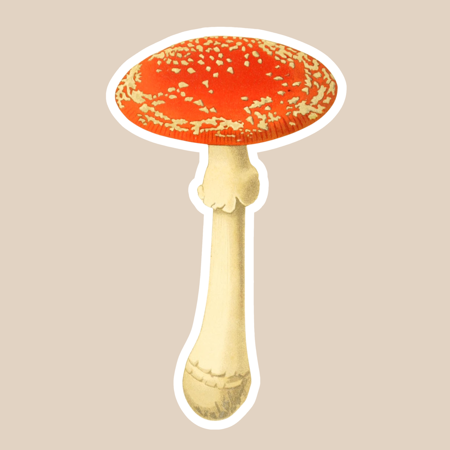 Mushroom Vinyl Sticker Style #3