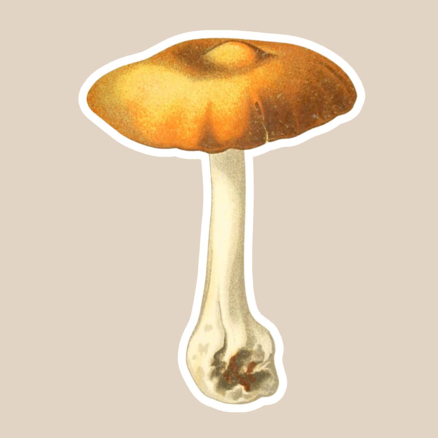 Mushroom Vinyl Sticker Style #4