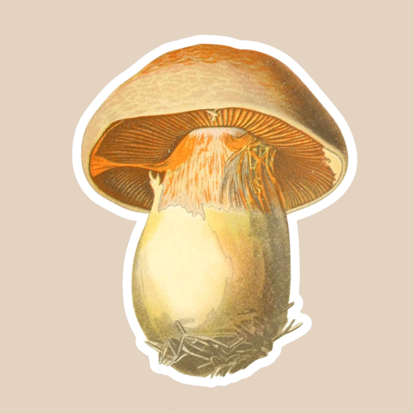Mushroom Vinyl Sticker Style #5