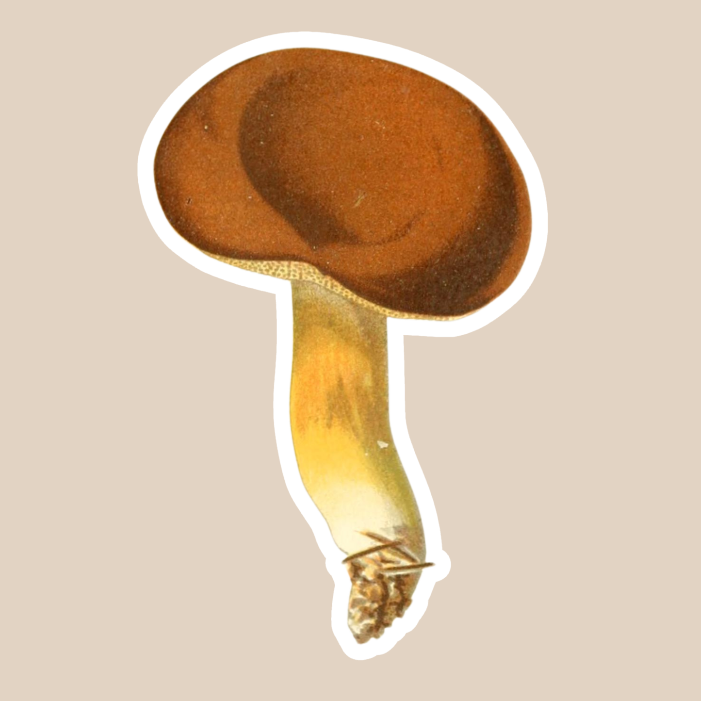 Mushroom Vinyl Sticker Style #6