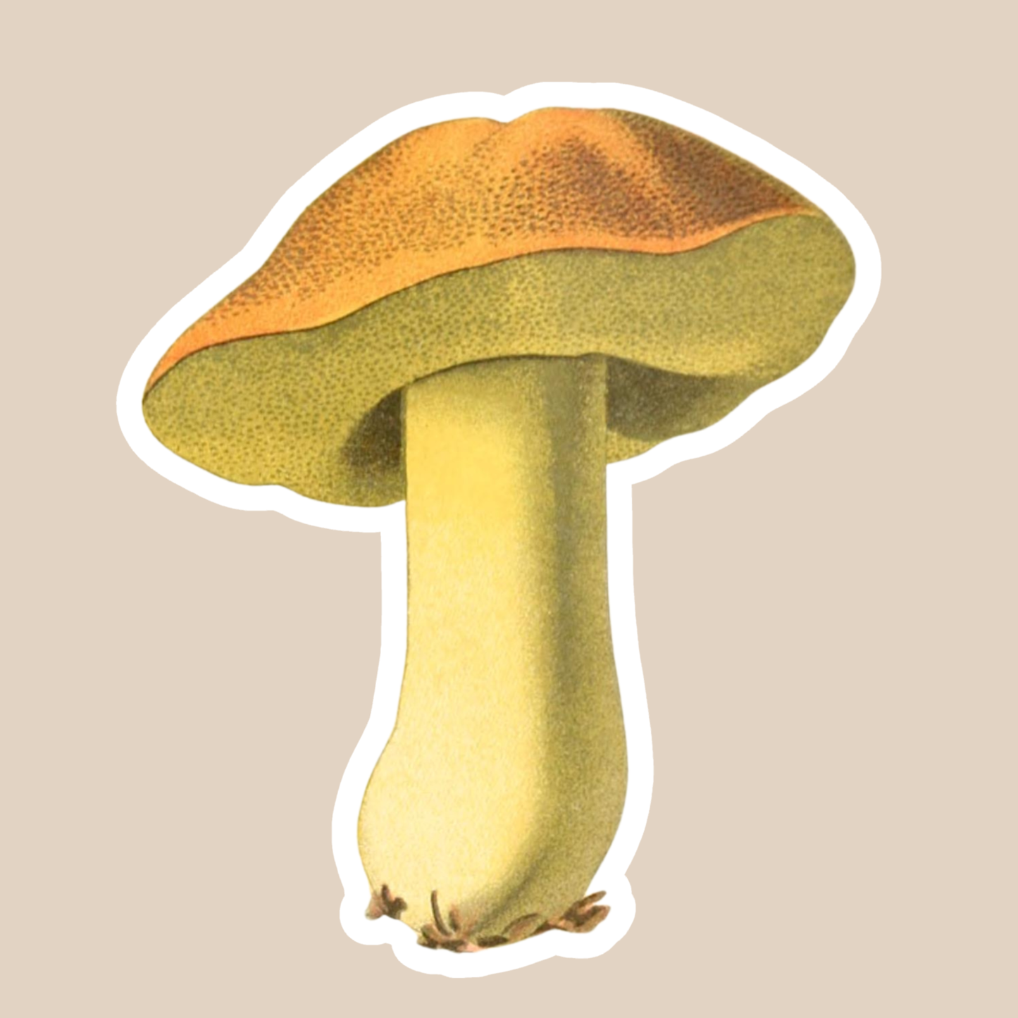 Mushroom Vinyl Sticker Style #7