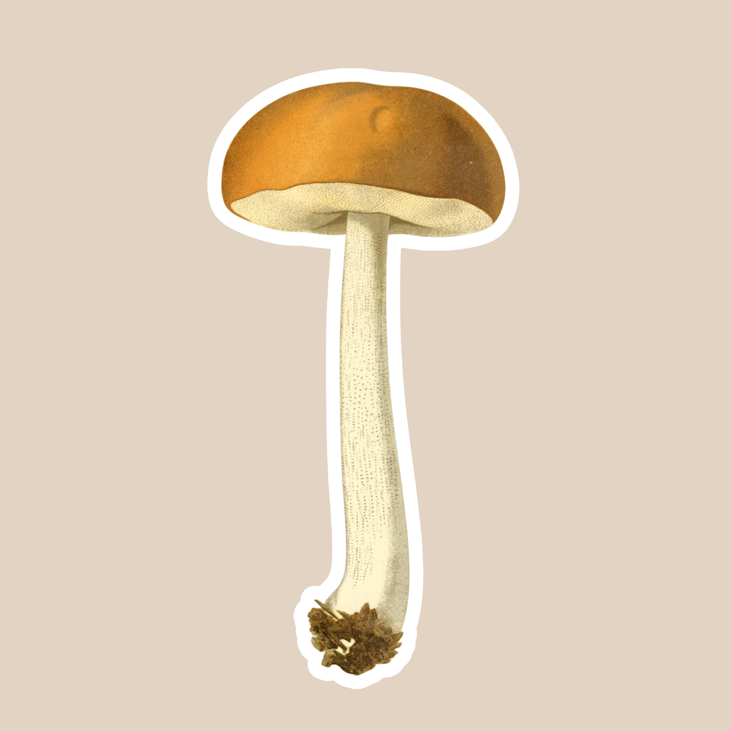 Mushroom Vinyl Sticker Style #8