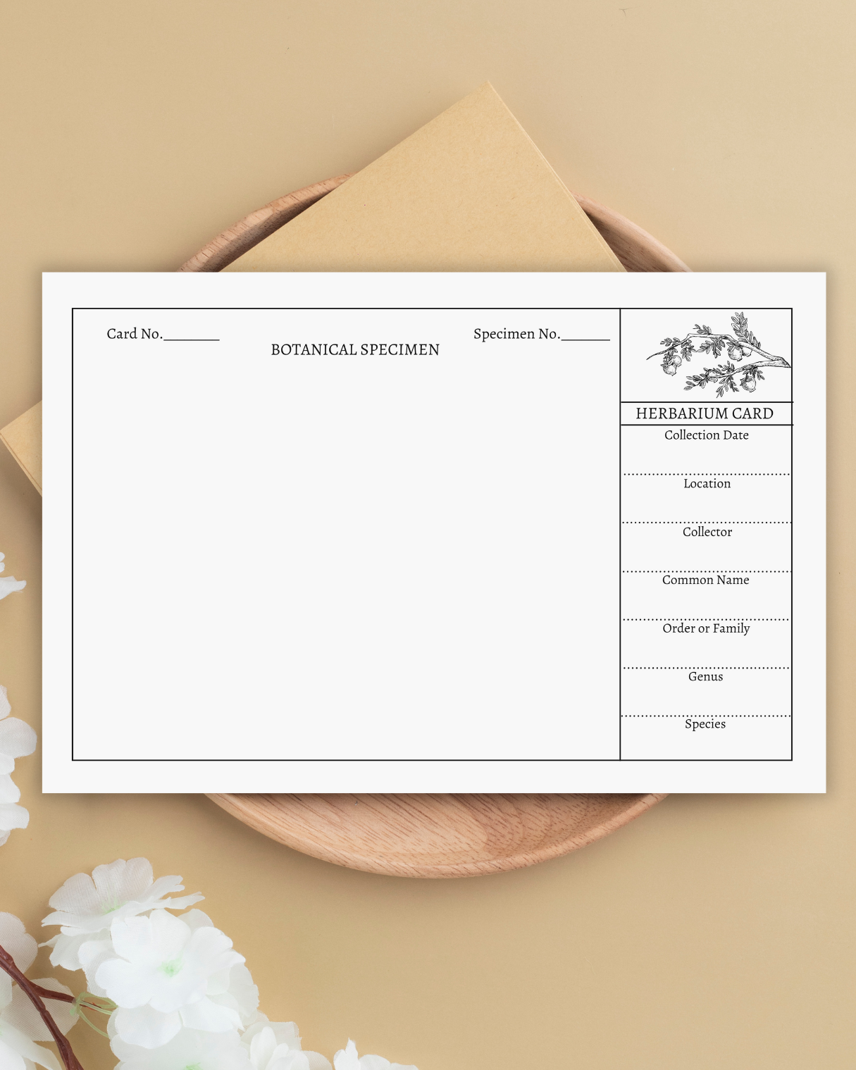 Handmade Plant Herbarium Cards - Set of 10