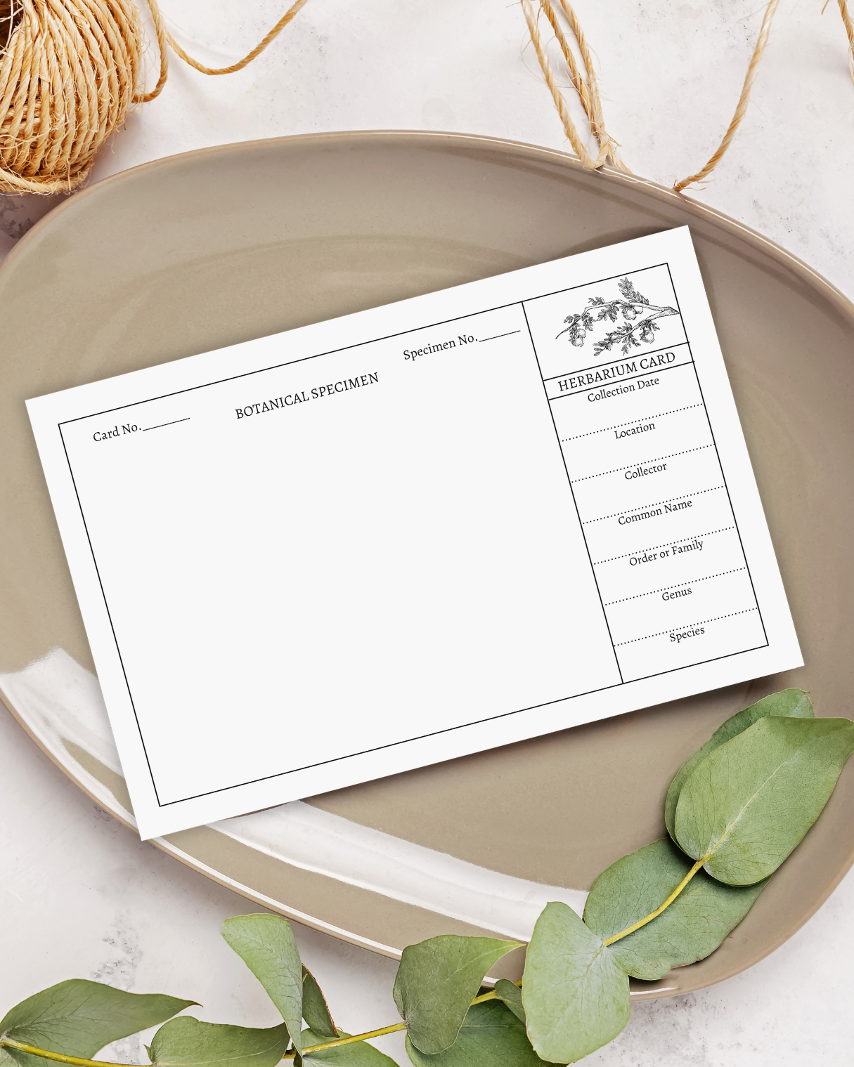 Handmade Plant Herbarium Cards - Set of 10