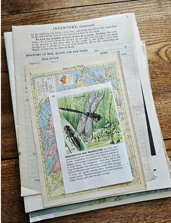 Vintage Paper Pack – 100 Pages of Ephemera for Junk Journals, Scrapbooking, Collage & Mixed Media Art