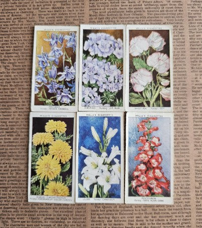 Set of 6 - Vintage Flower Tobacco Cards