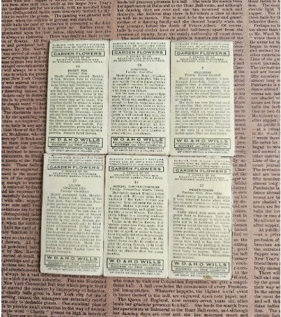 Set of 6 - Vintage Flower Tobacco Cards