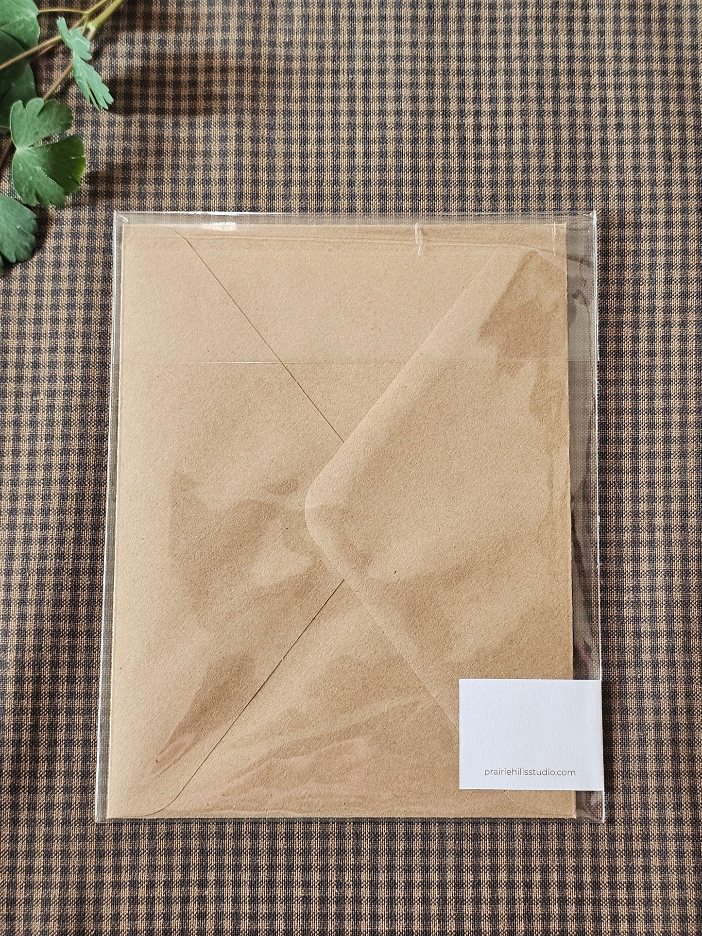 Botanical Butterfly Greeting Card | Illustrated Card and Envelope Set