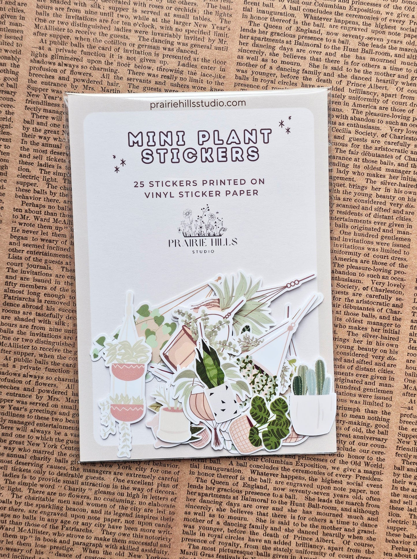 Mini House Plant Sticker Pack | 25 Pcs