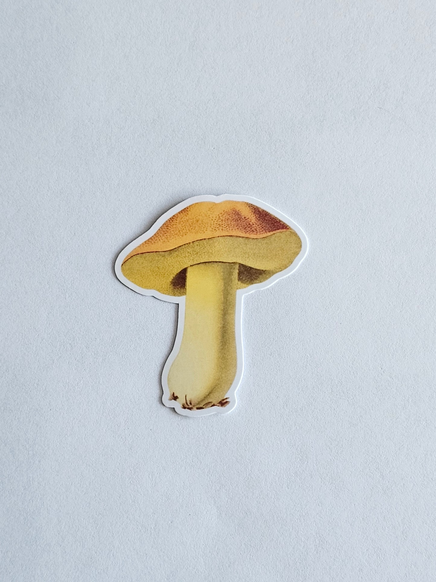 Mushroom Vinyl Sticker Style #7