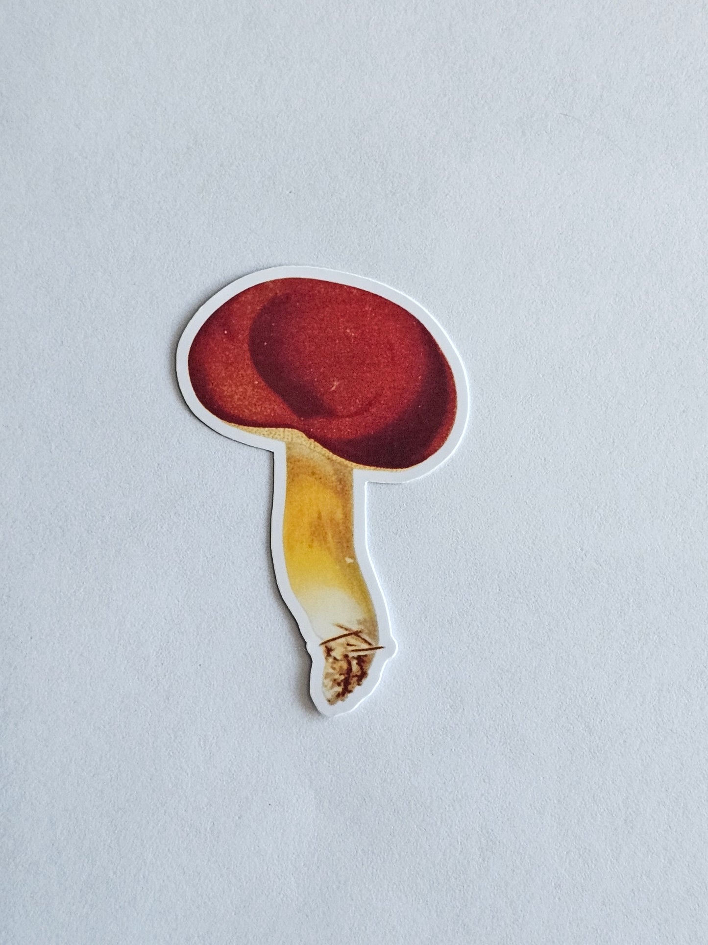Mushroom Vinyl Sticker Style #6