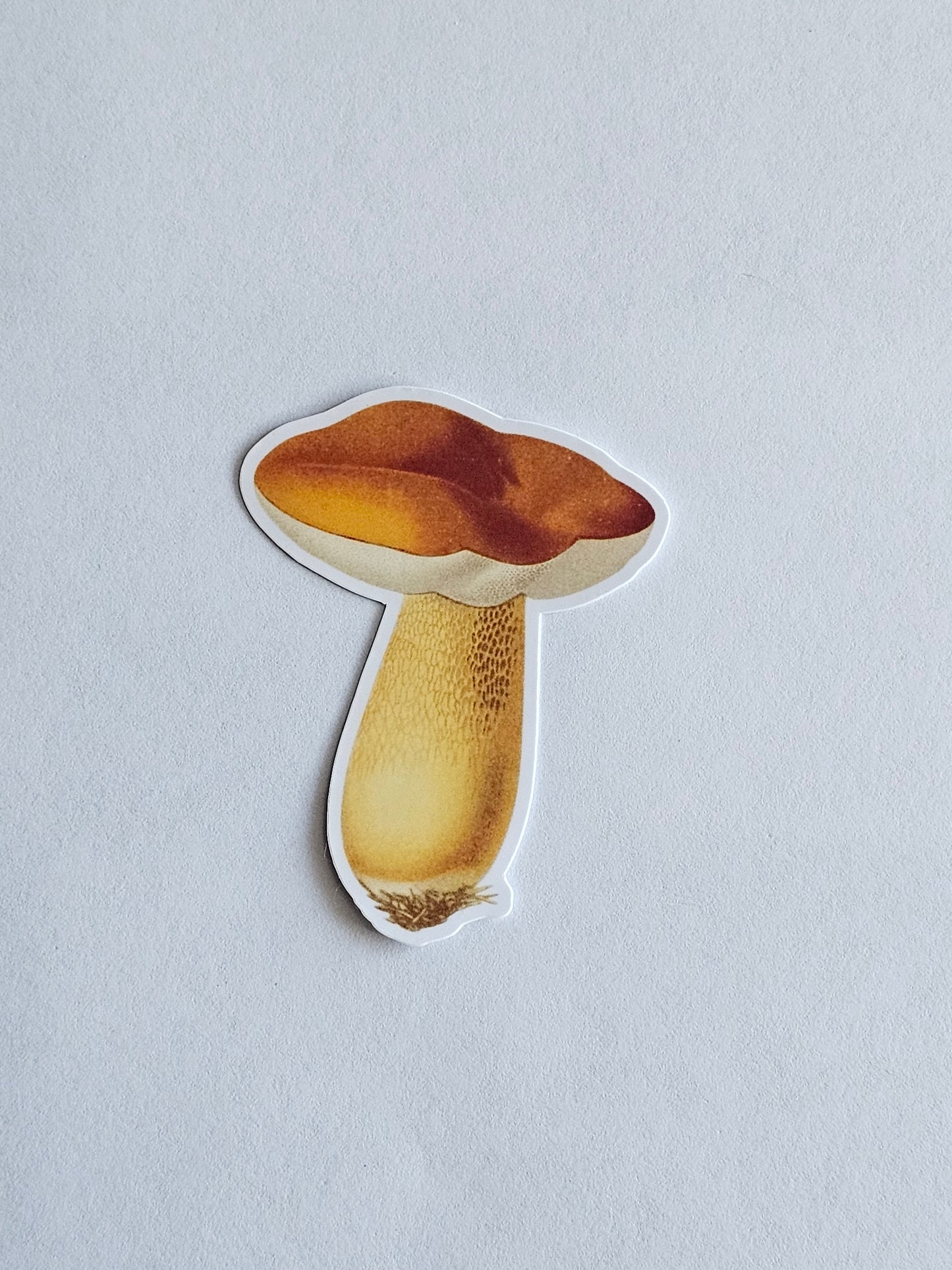 Mushroom Vinyl Sticker Style #12