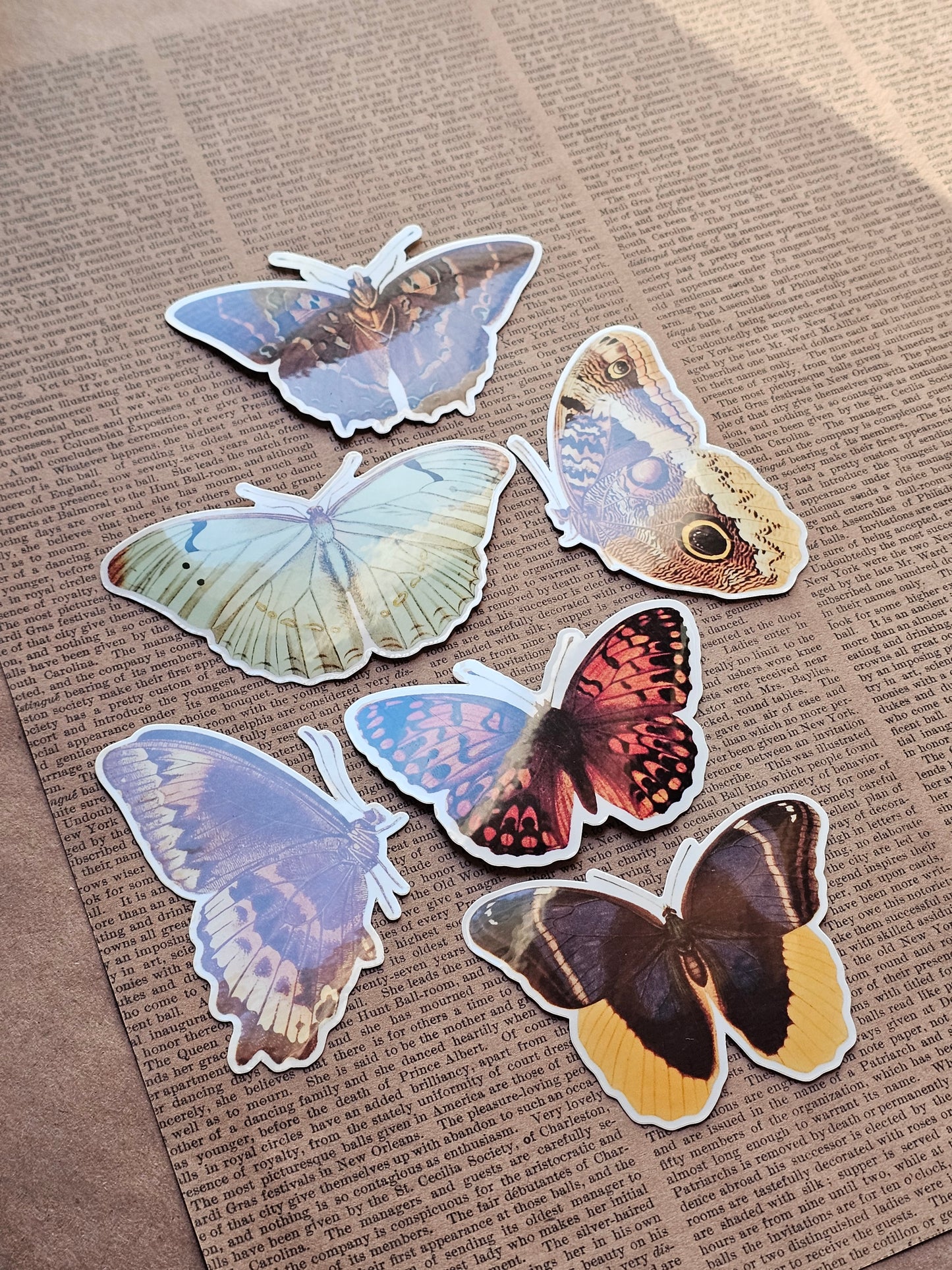 Vinyl Butterfly Stickers | 6 Pack | Adhesive Vinyl Waterproof Stickers