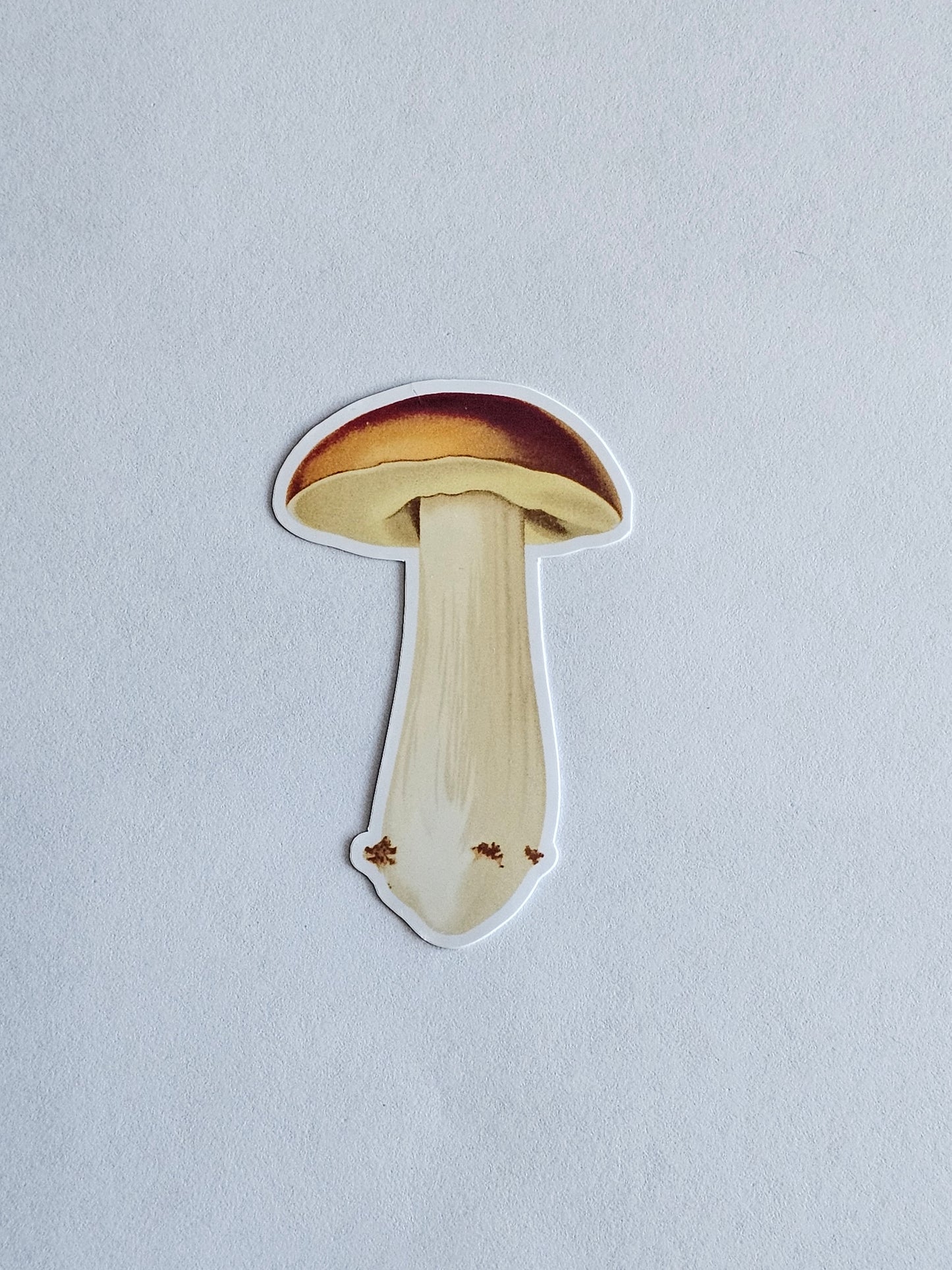 Mushroom Vinyl Sticker Style #13