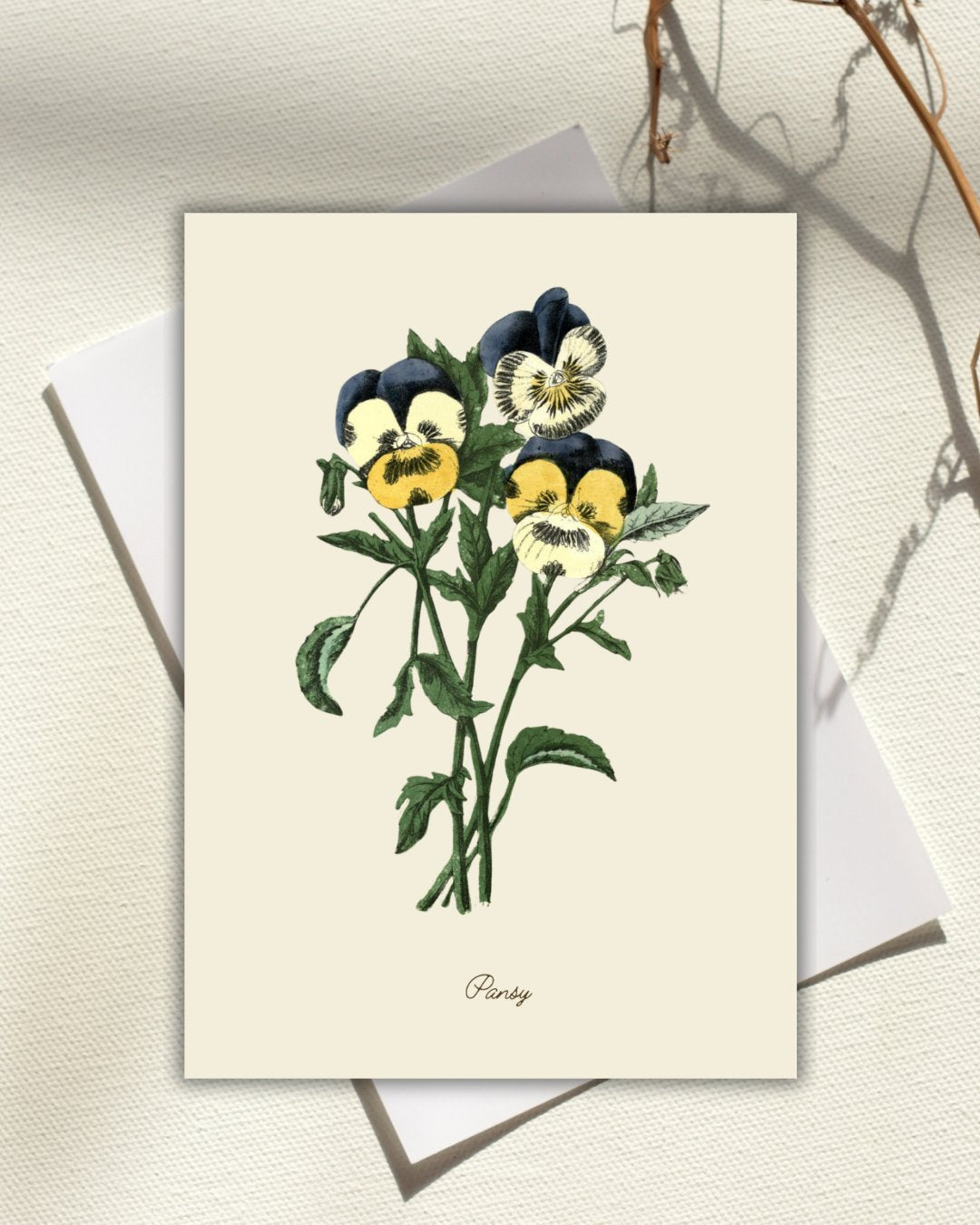 Greeting Cards