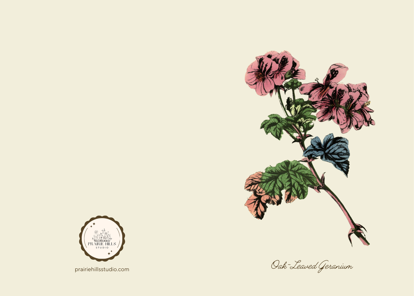 Handmade Geranium Greeting Card with Envelope