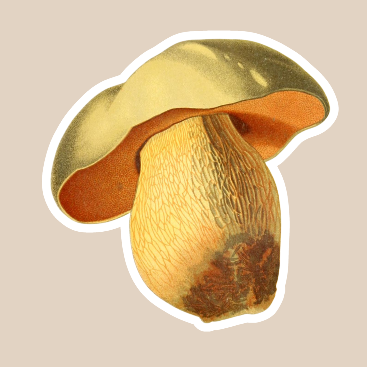 Mushroom Vinyl Sticker Style #11