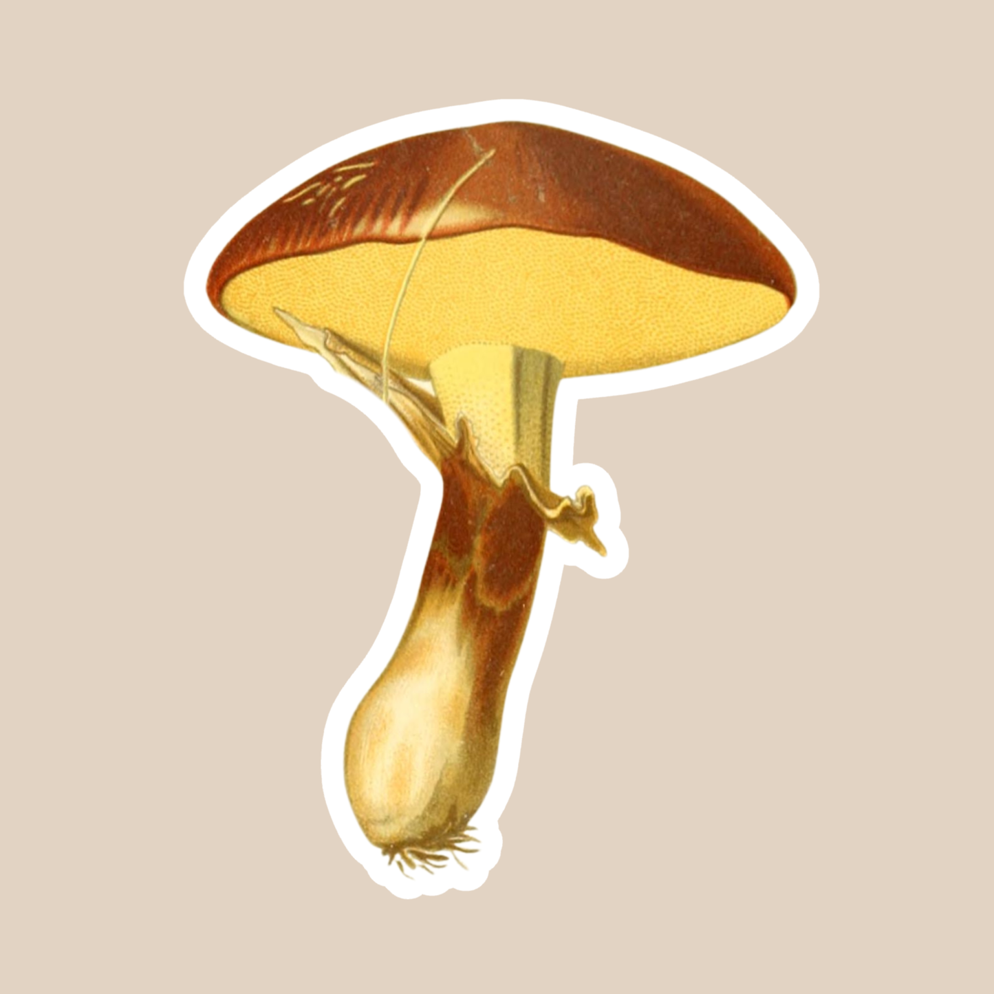 Mushroom Vinyl Sticker Style #14