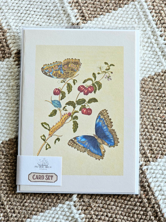 Botanical Illustration by Maria Sibylla Merian Greeting Card Set