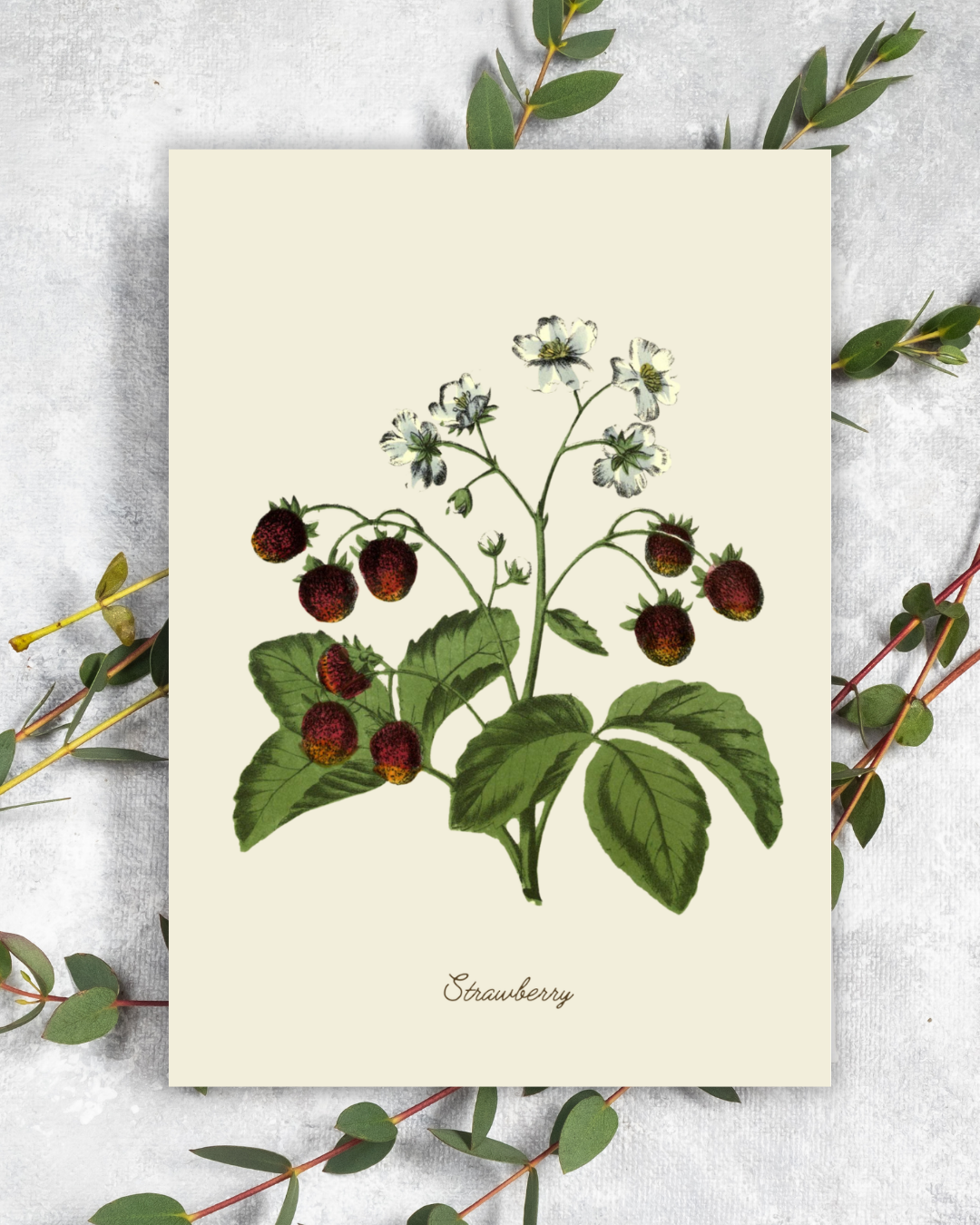 Handmade Strawberry Greeting Card with Envelope