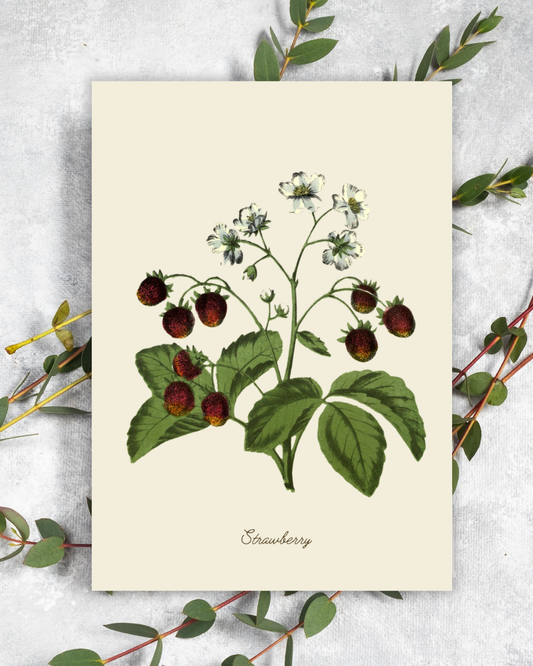 Handmade Strawberry Greeting Card with Envelope
