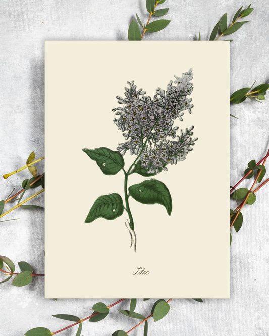 Handmade Lilac Greeting Card with Envelope