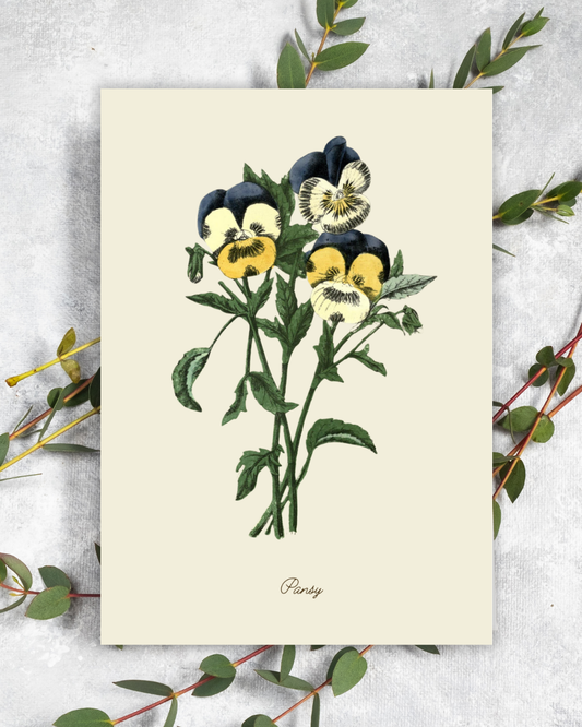 Handmade Pansy Greeting Card with Envelope