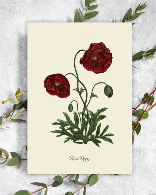 Handmade Red Poppy Greeting Card with Envelope