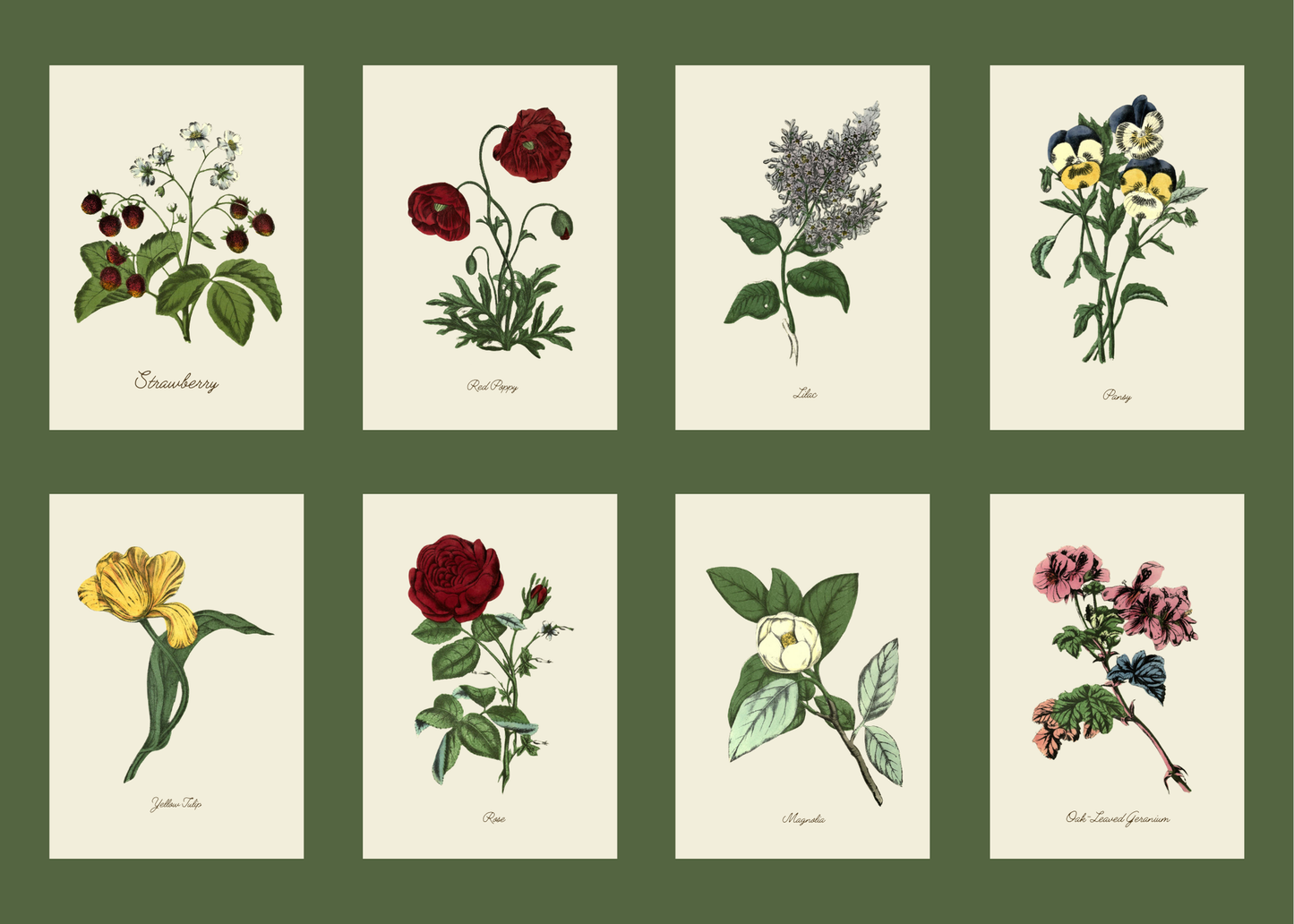 Handmade Geranium Greeting Card with Envelope
