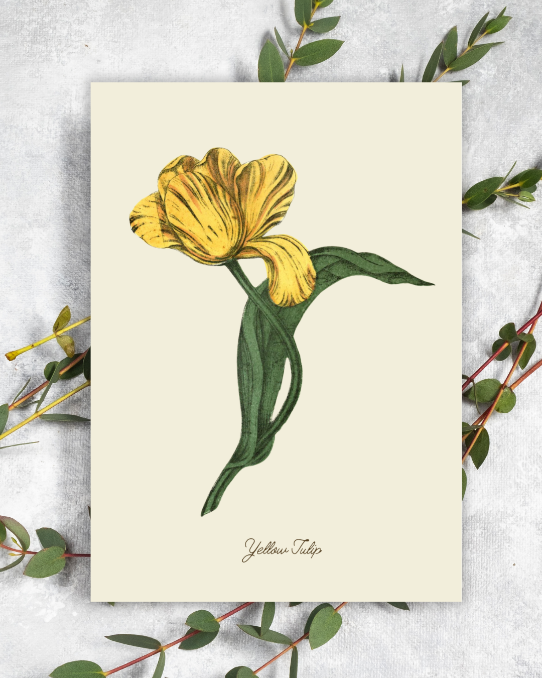 Handmade Yellow Tulip Greeting Card with Envelope