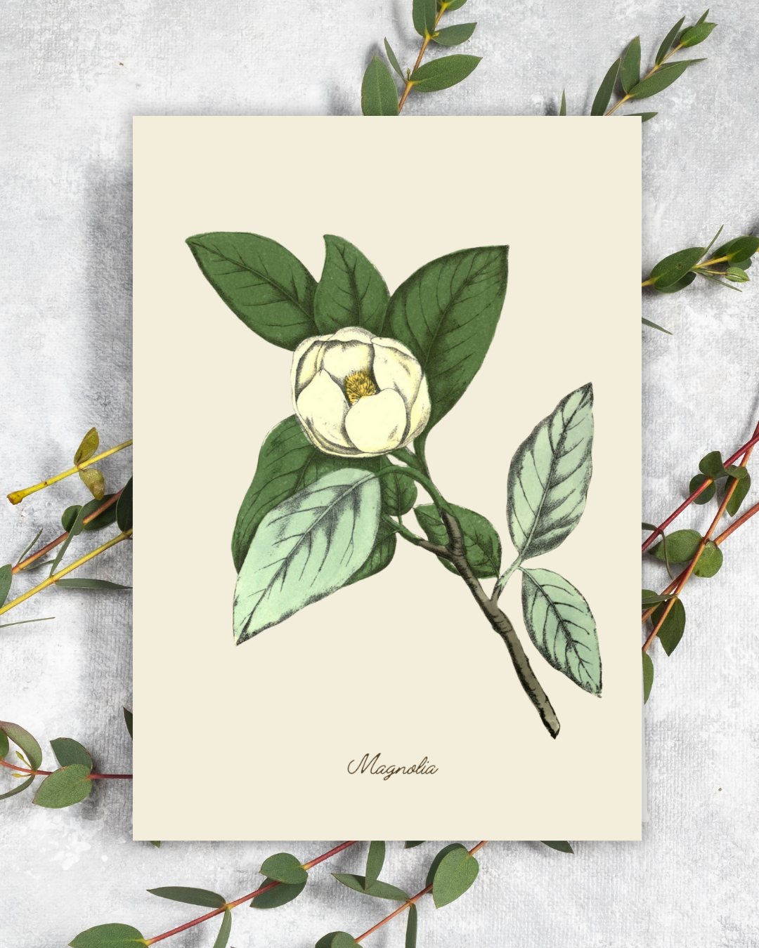Handmade Magnolia Greeting Card with Envelope