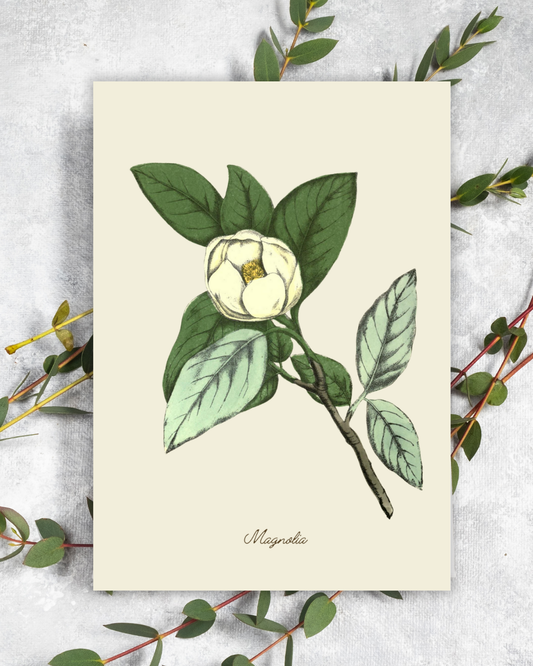 Handmade Magnolia Greeting Card with Envelope