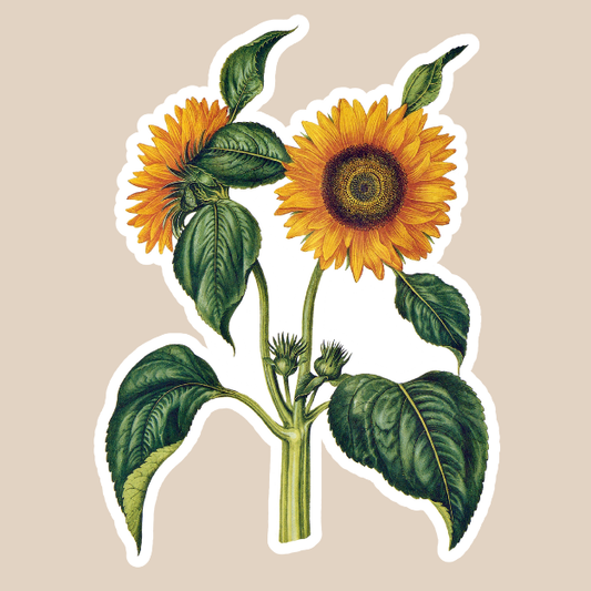 Sunflower Vinyl Sticker
