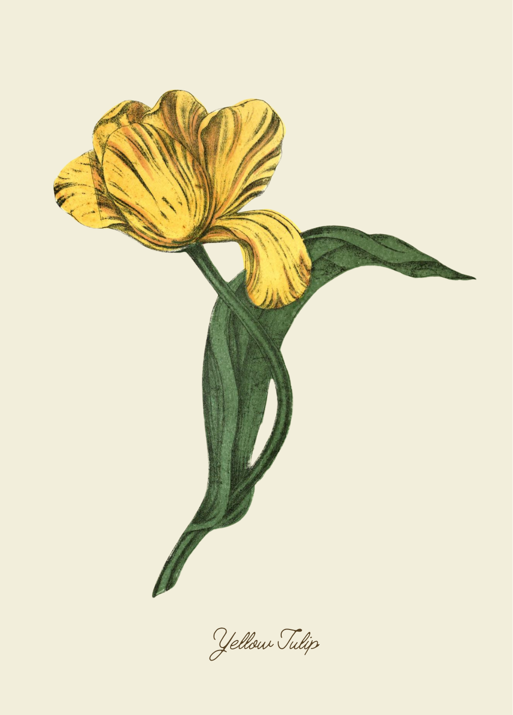 Handmade Yellow Tulip Greeting Card with Envelope