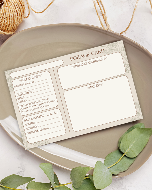 Handmade Plant Forage Cards - Set of 20