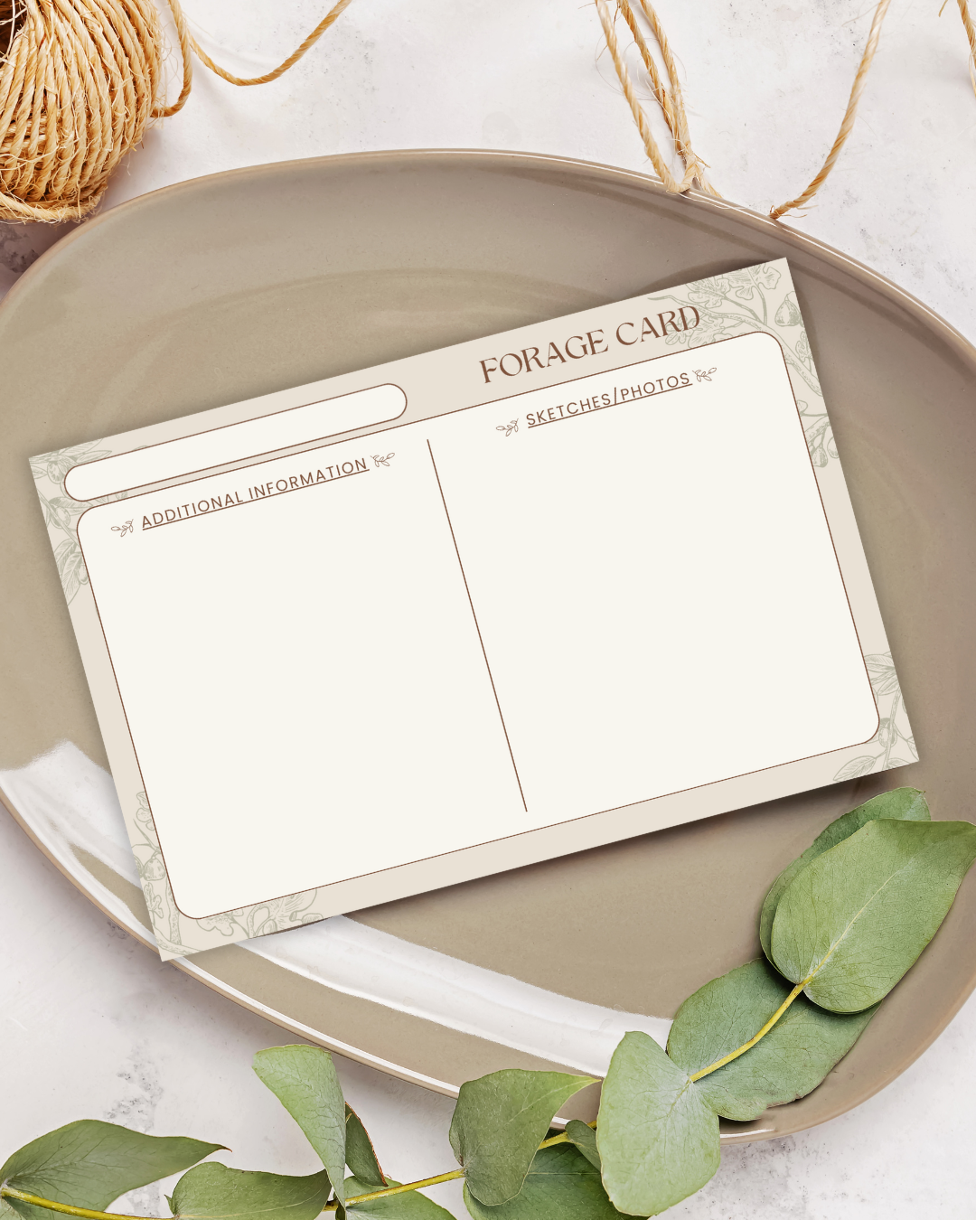 Handmade Plant Forage Cards - Set of 20