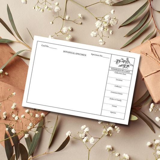 Handmade Plant Herbarium Cards - Set of 10