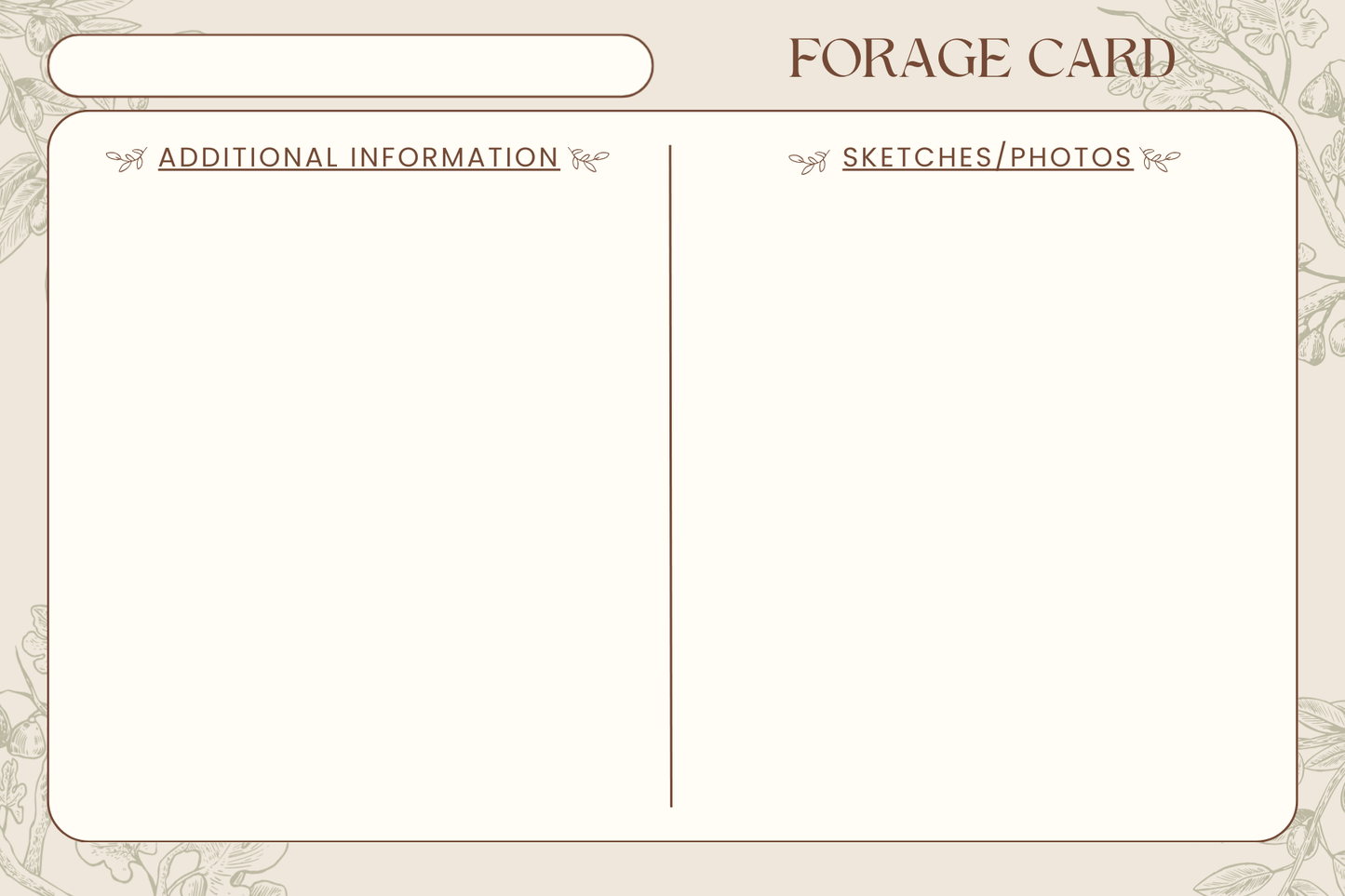 Handmade Plant Forage Cards - Set of 20
