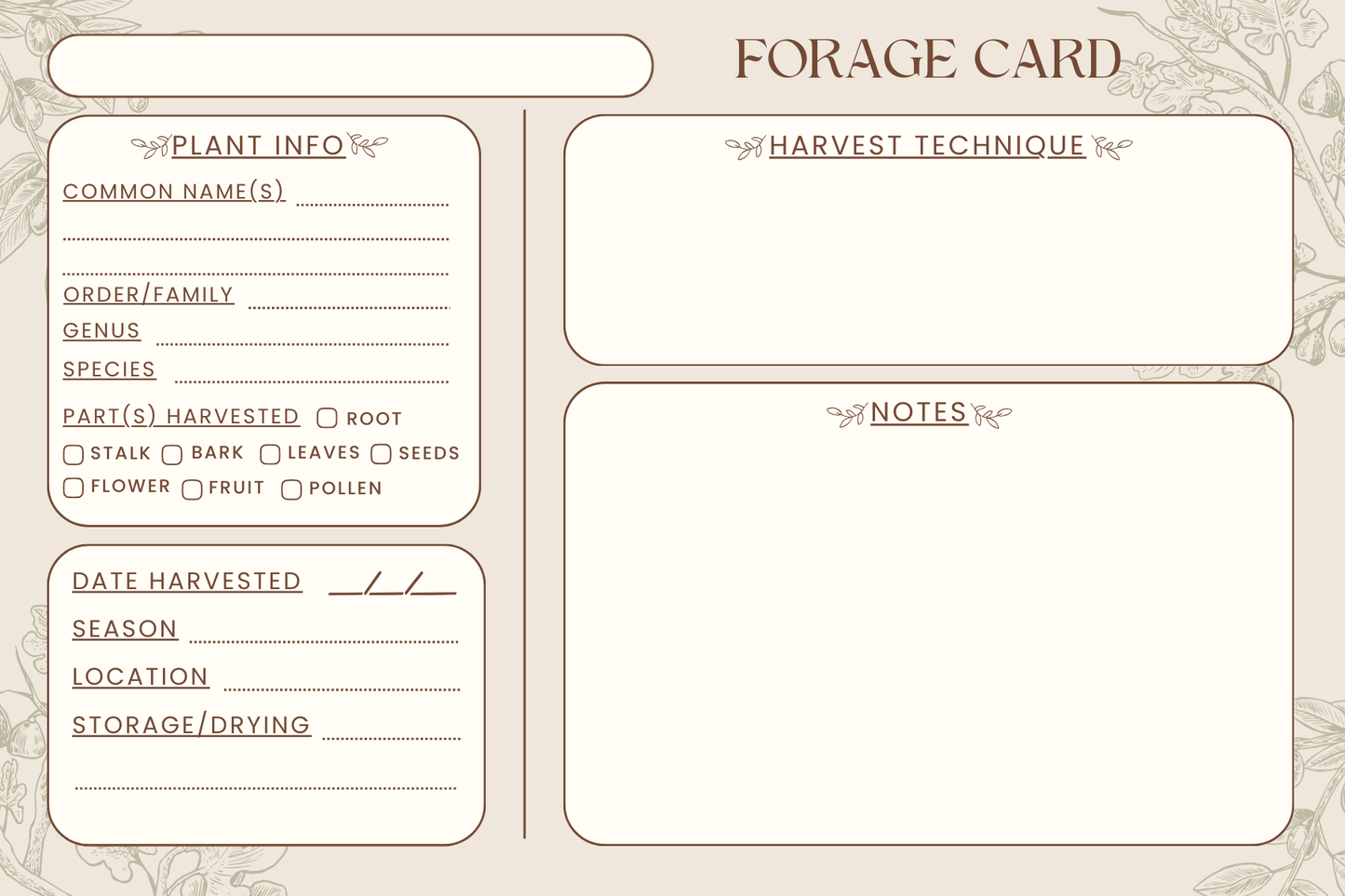 Handmade Plant Forage Cards - Set of 20