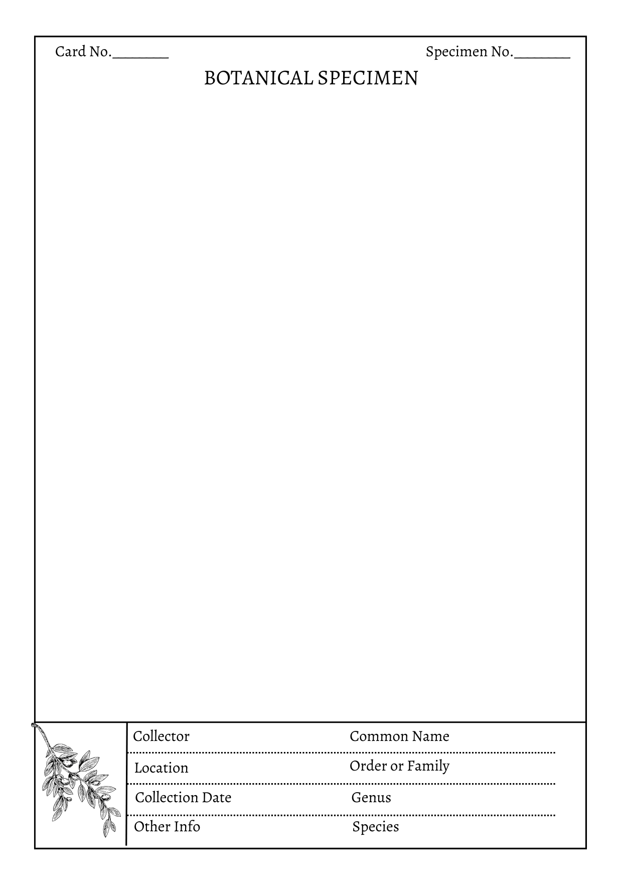 Handmade Plant Herbarium Cards - Set of 10