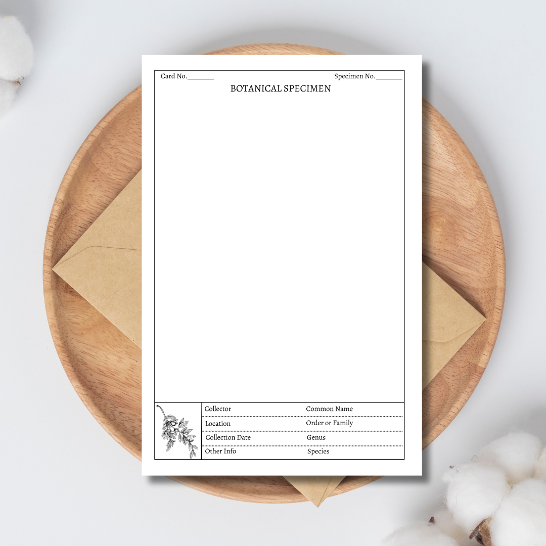 Handmade Plant Herbarium Cards - Set of 10