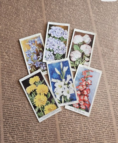 Set of 6 - Vintage Flower Tobacco Cards