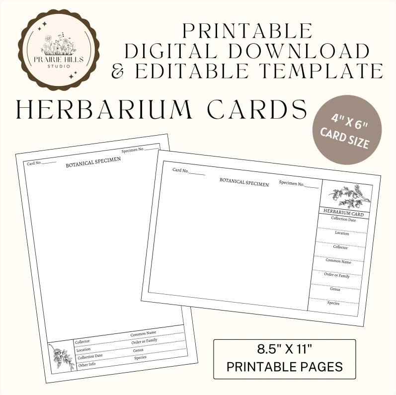 Printable Herbarium Card Template | 4x6 Editable Design (Digital Download)