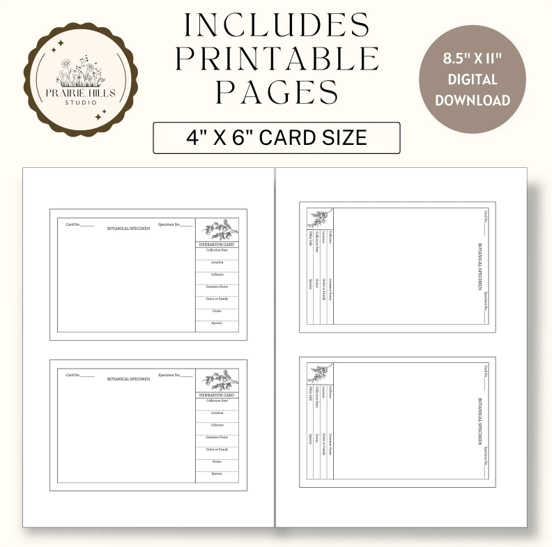Printable Herbarium Card Template | 4x6 Editable Design (Digital Download)
