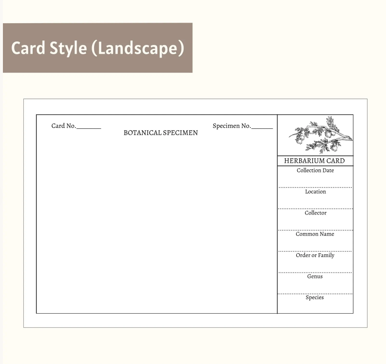 Printable Herbarium Card Template | 4x6 Editable Design (Digital Download)